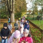 Podzimní dopravní vycházka