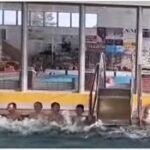 Předplavecký výcvik 🐸🐞☀️